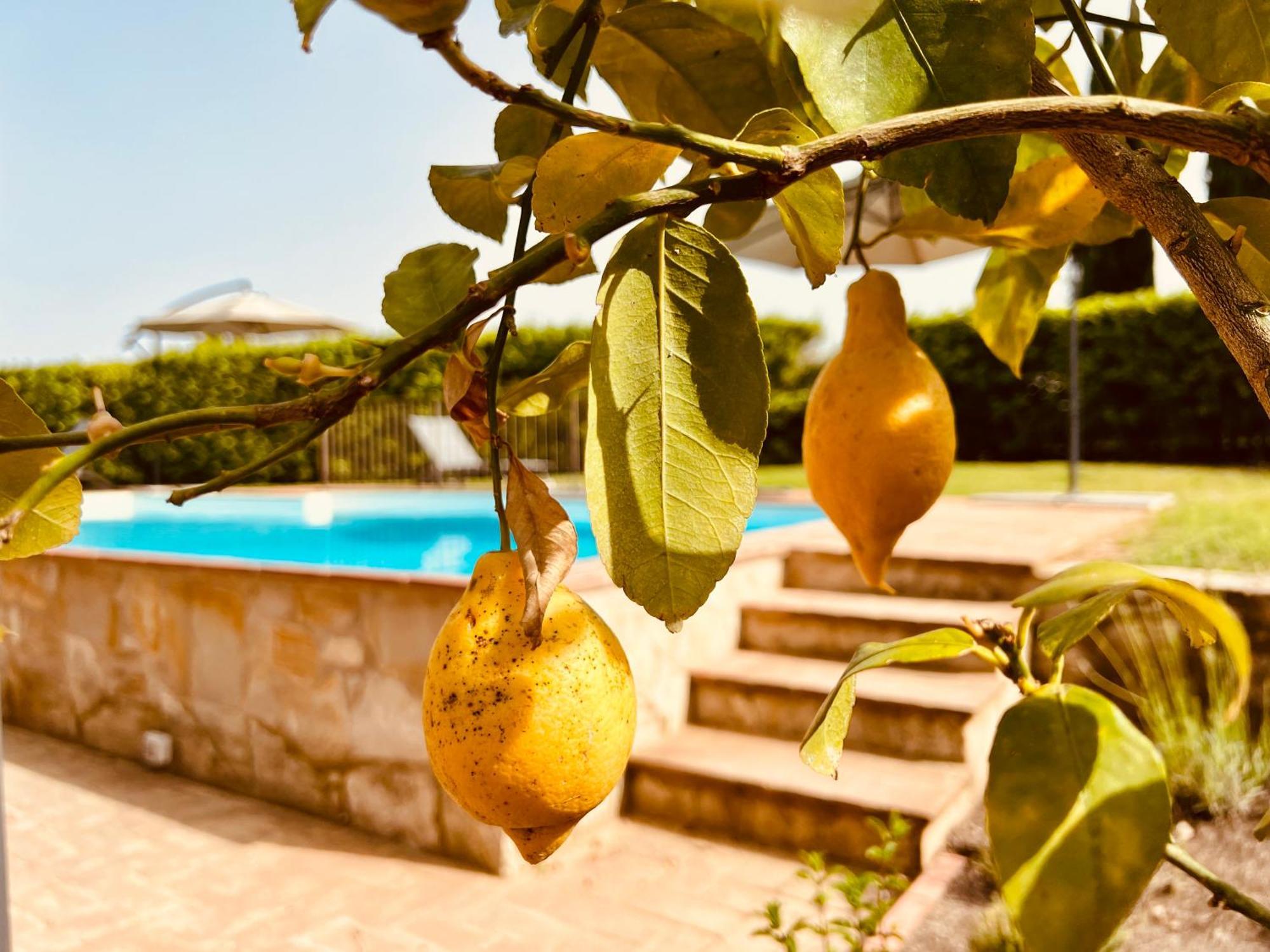 Libertas Tuscan Hideaway San Sano エクステリア 写真