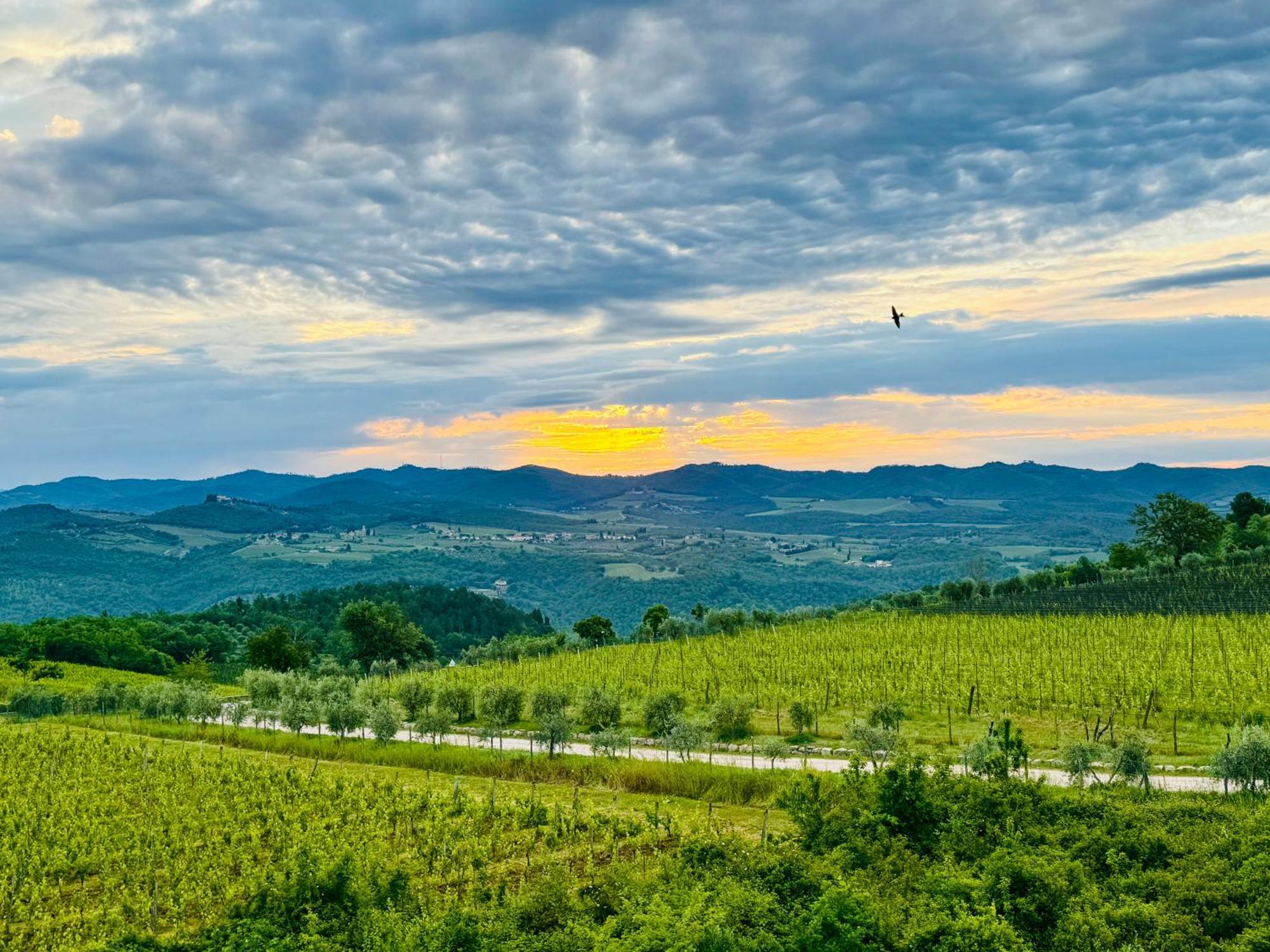 Libertas Tuscan Hideaway San Sano エクステリア 写真